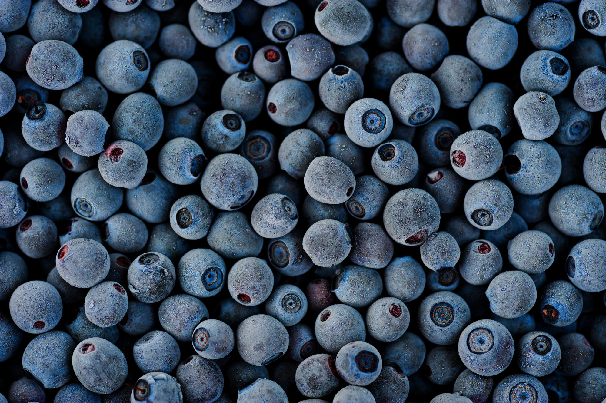 Michigan Farm to Freezer Blueberries