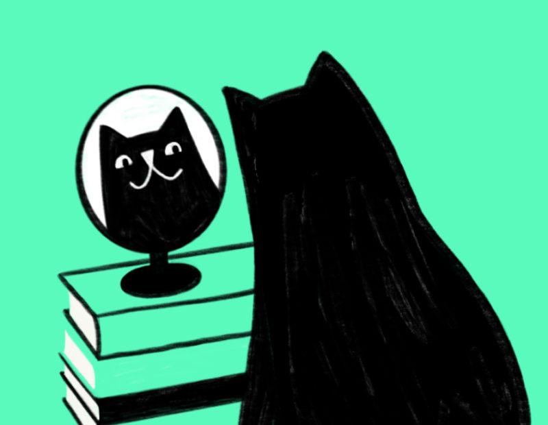 Cat looking in mirror