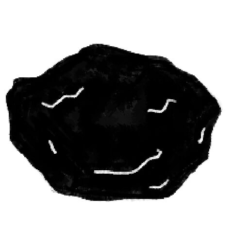 A rock