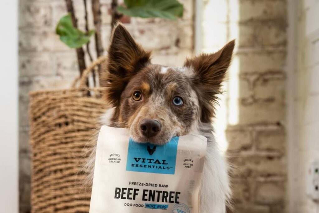 Dog holding Vital Essentials package